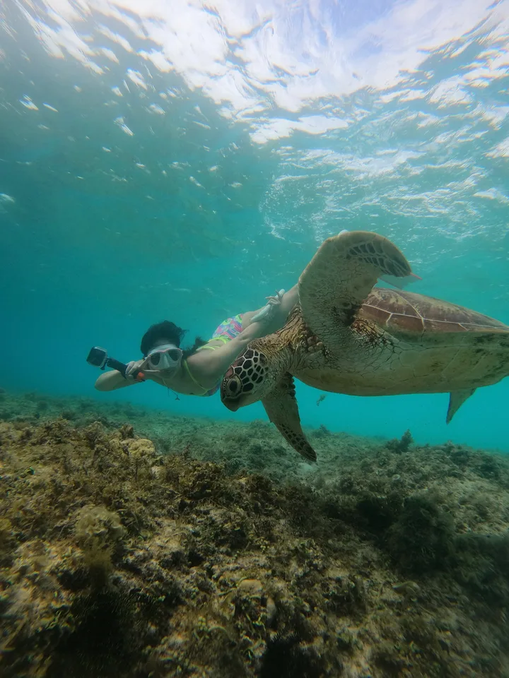 Photo preview: Dive log: Philippines