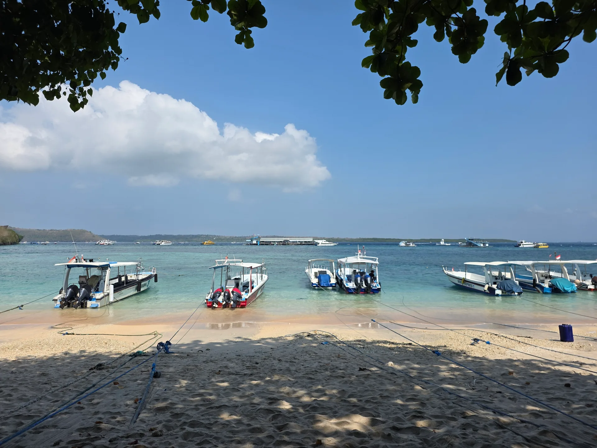 Dive photo 2