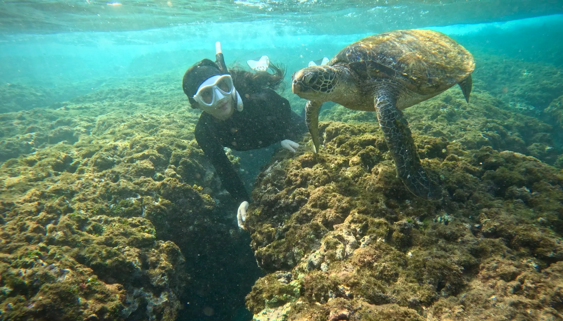Dive photo 1