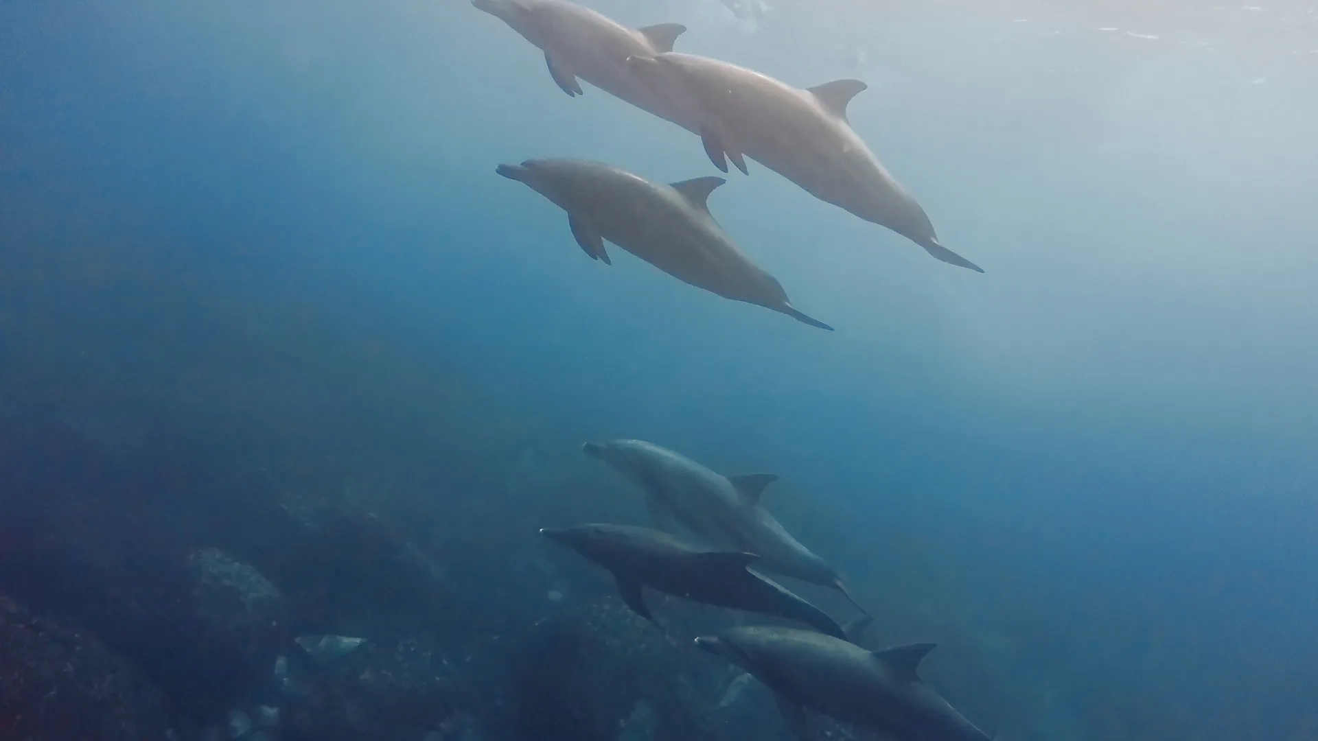 Dive photo 1
