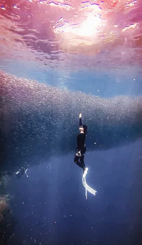 Dive photo 2