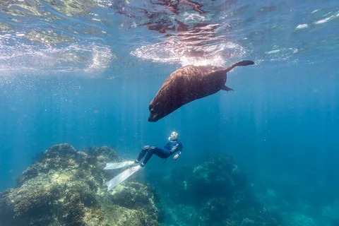 Dive photo 2
