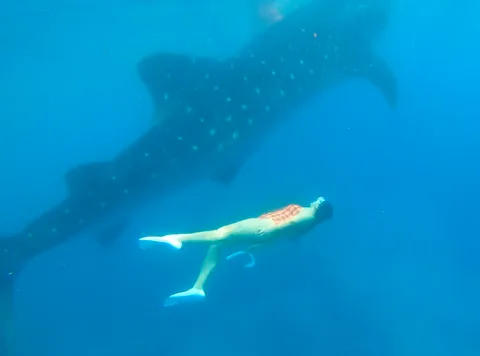 Dive photo 2