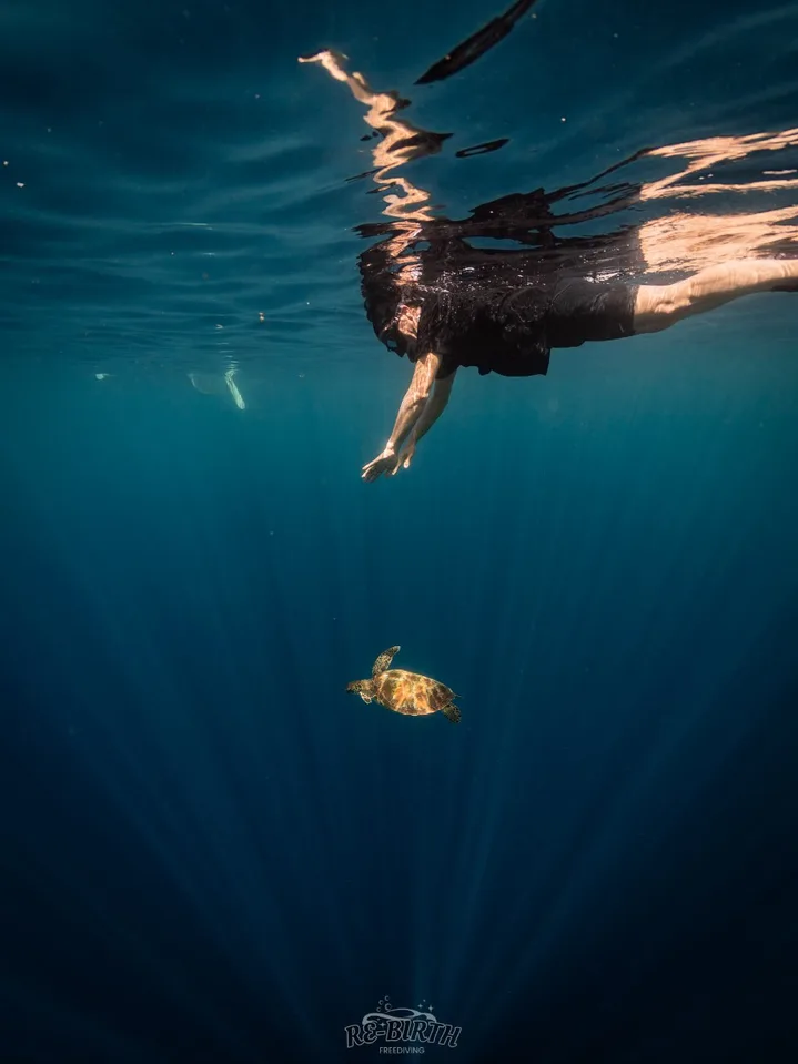 Photo preview: Dive log: Philippines