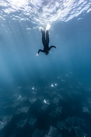 Dive photo 1